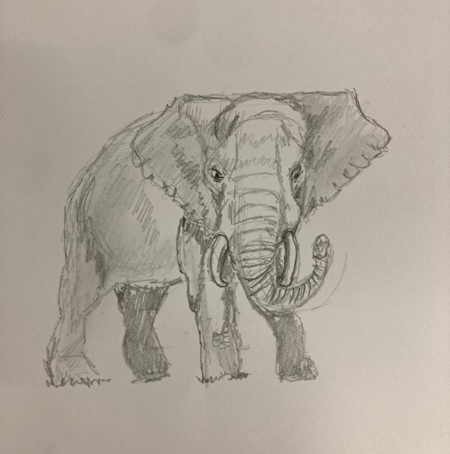 Drawing task output with AIfred
